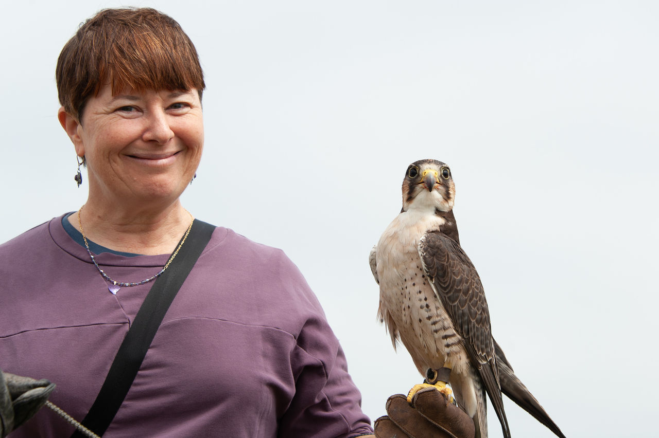 2018 Falconry-02