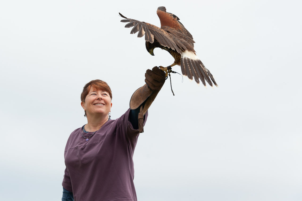 2018 Falconry-03