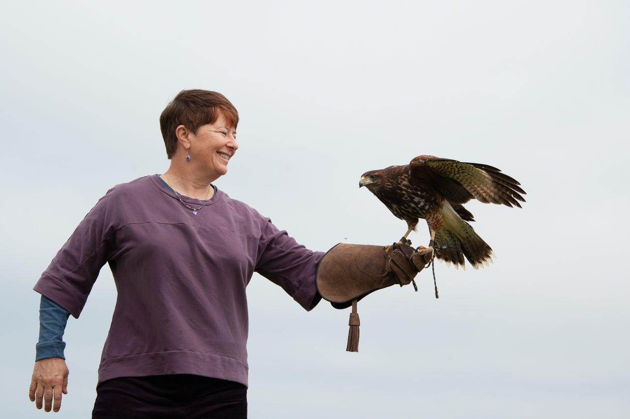 2018 Falconry-06