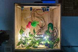 2025 Crash Artshow-036