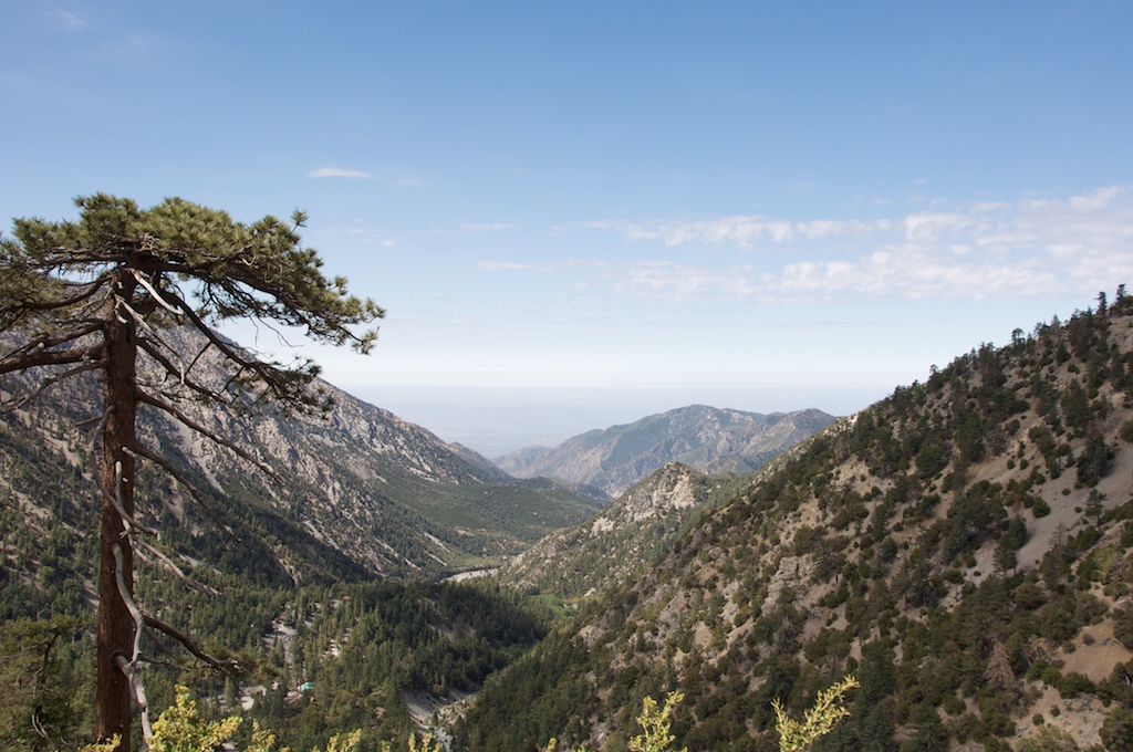 2009 07 Mount Baldy-01