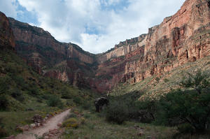 2012 Grand Canyon-27