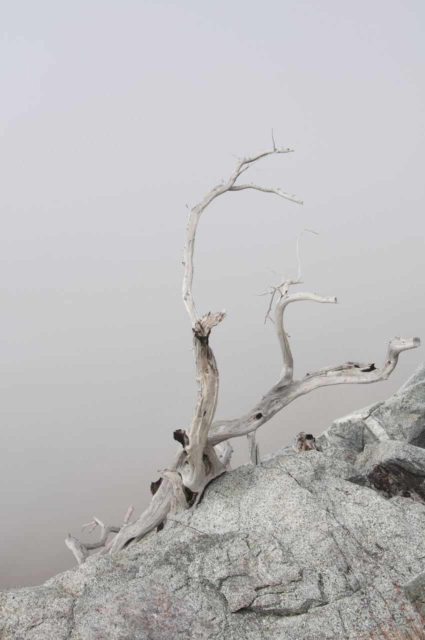 2013 11 Baldy-04