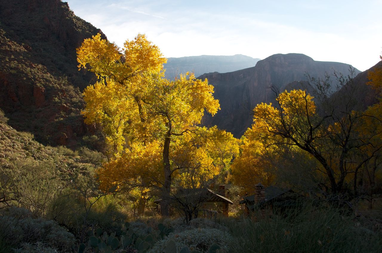 2013 12 Grand Canyon-24