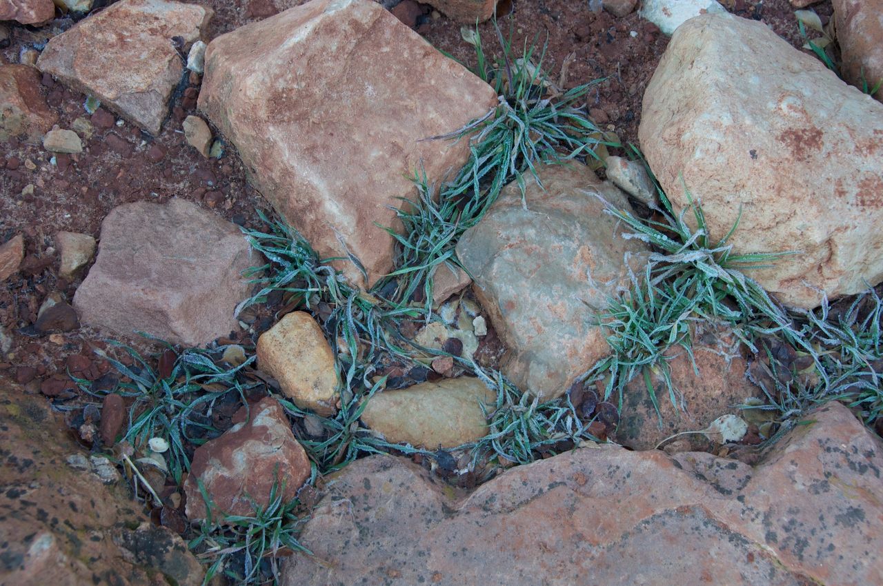 2013 12 Grand Canyon-32