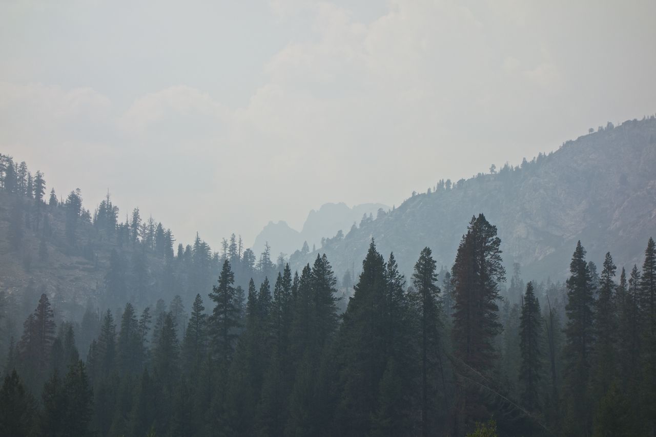 2014 08 Johnston Lake Mulepack-09