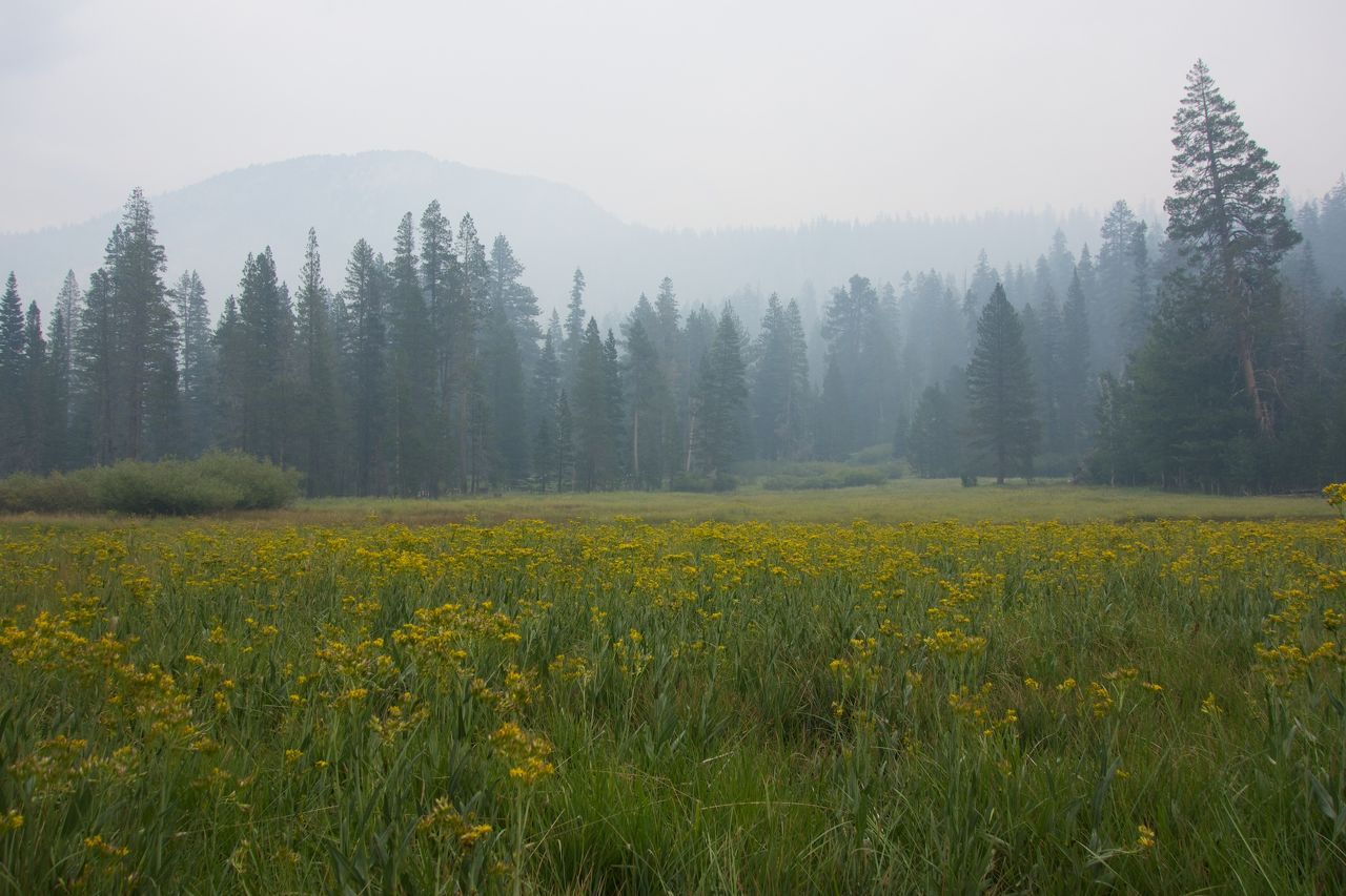 2014 08 Johnston Lake Mulepack-27