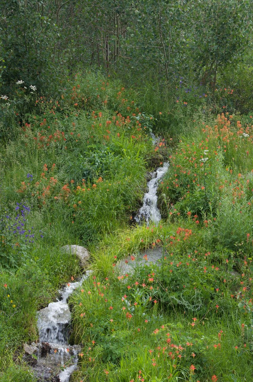 2017 Mcgee Creek-087
