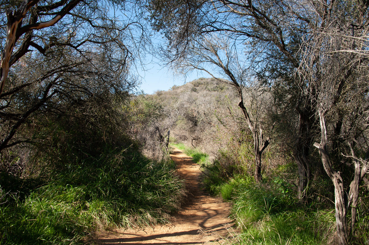 2018 12 Temescal-04