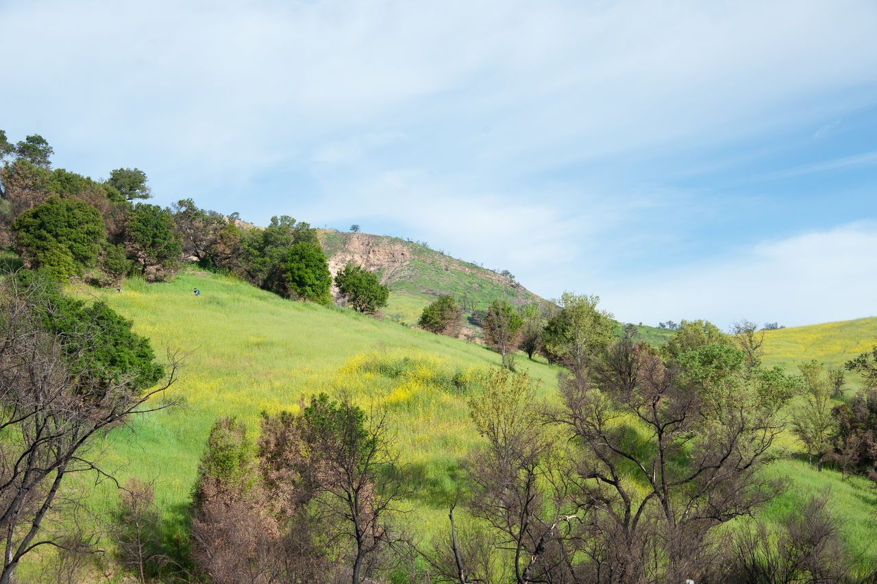 2019 Malibu Creek-00