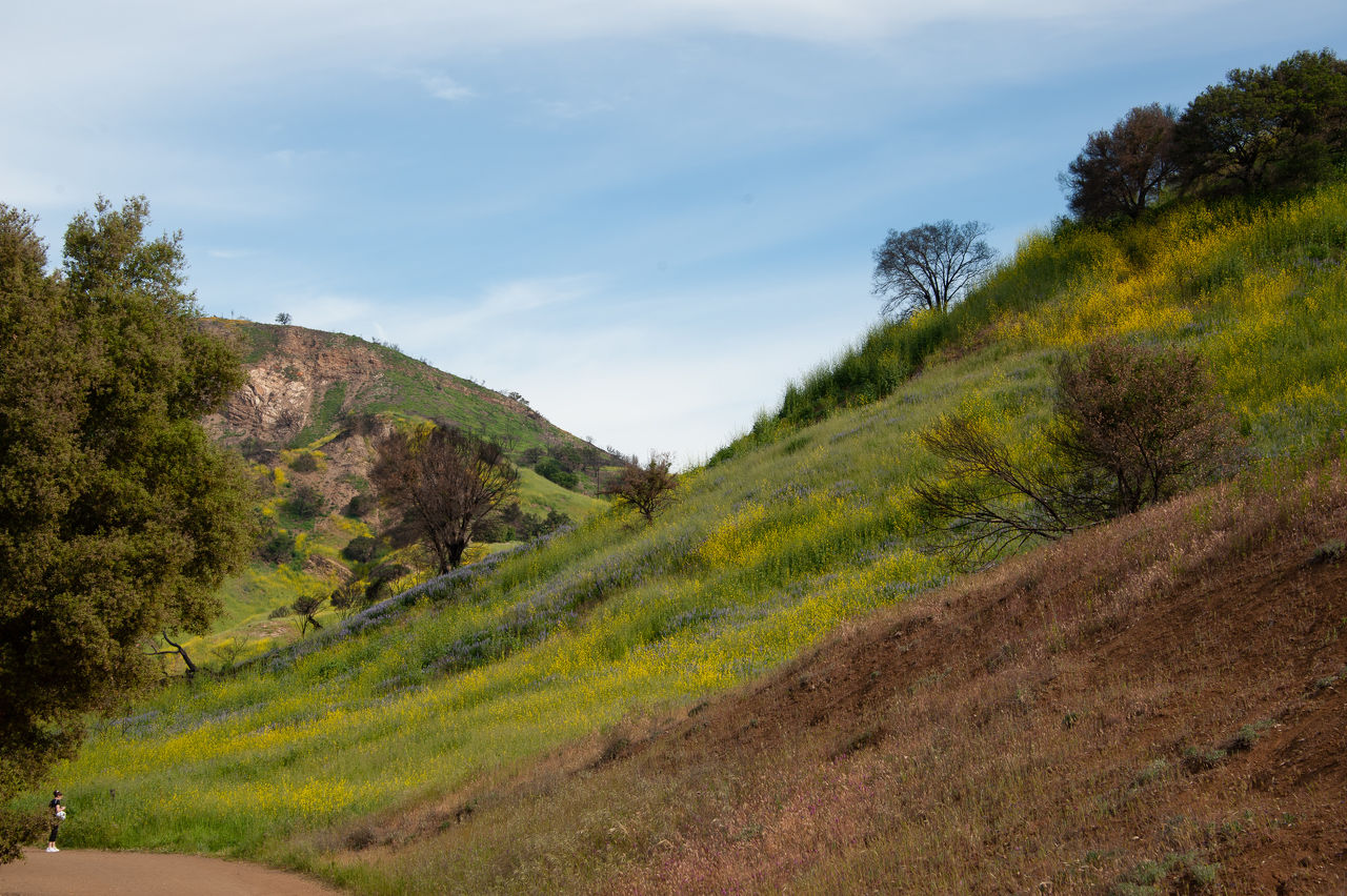 2019 Malibu Creek-01