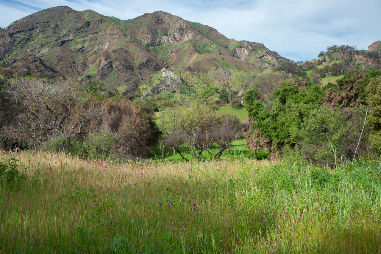 2019 Malibu Creek-05