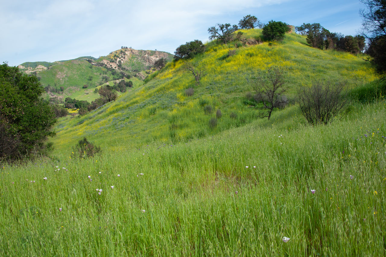 2019 Malibu Creek-07