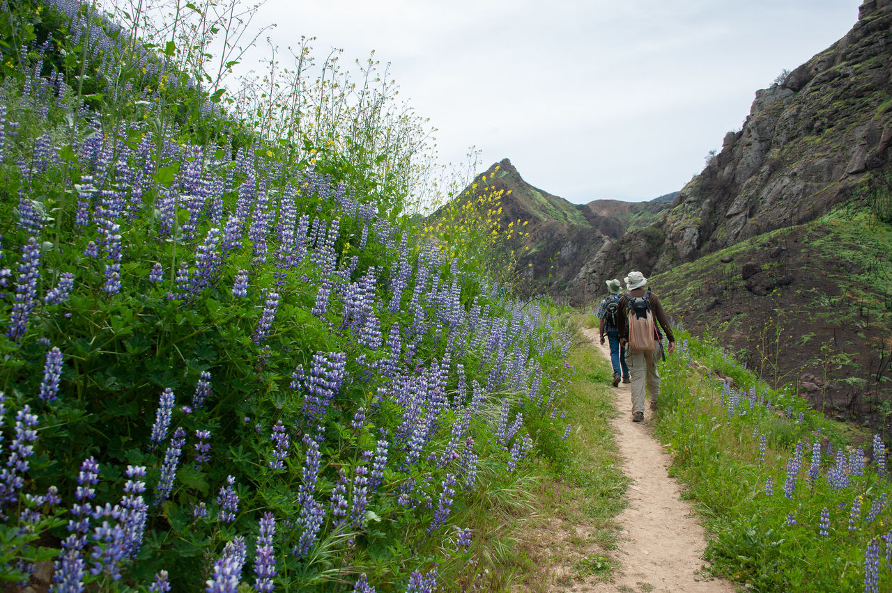 2019 Malibu Creek-19