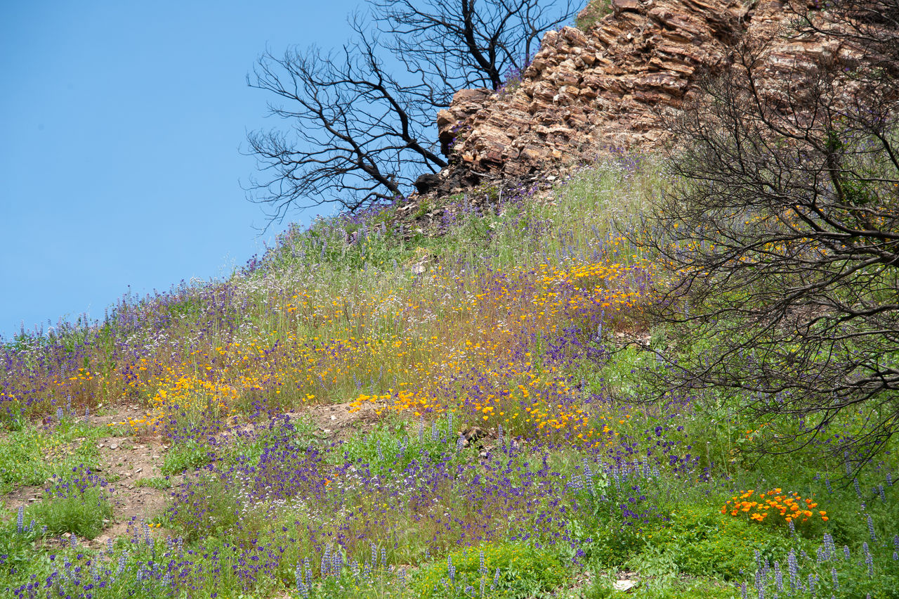 2019 Malibu Creek-28