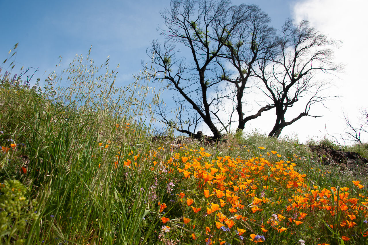 2019 Malibu Creek-29