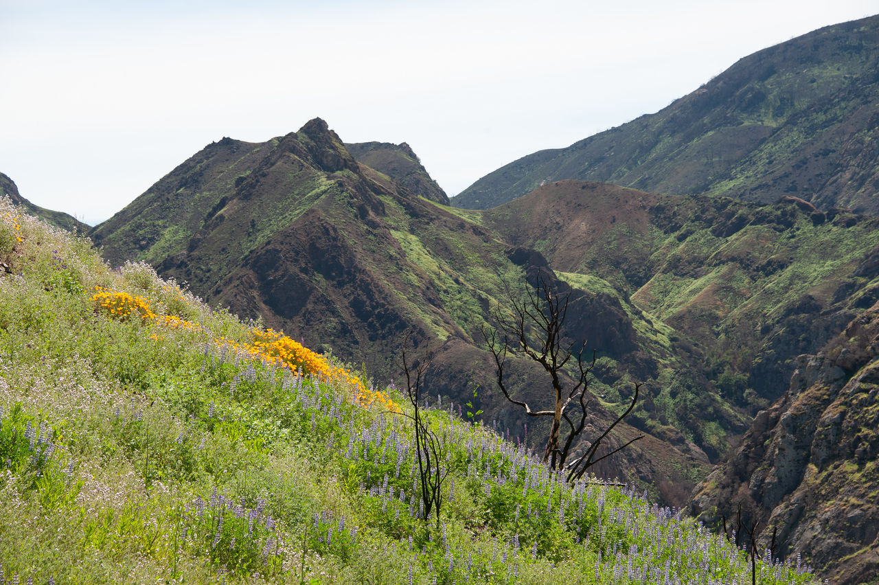 2019 Malibu Creek-30