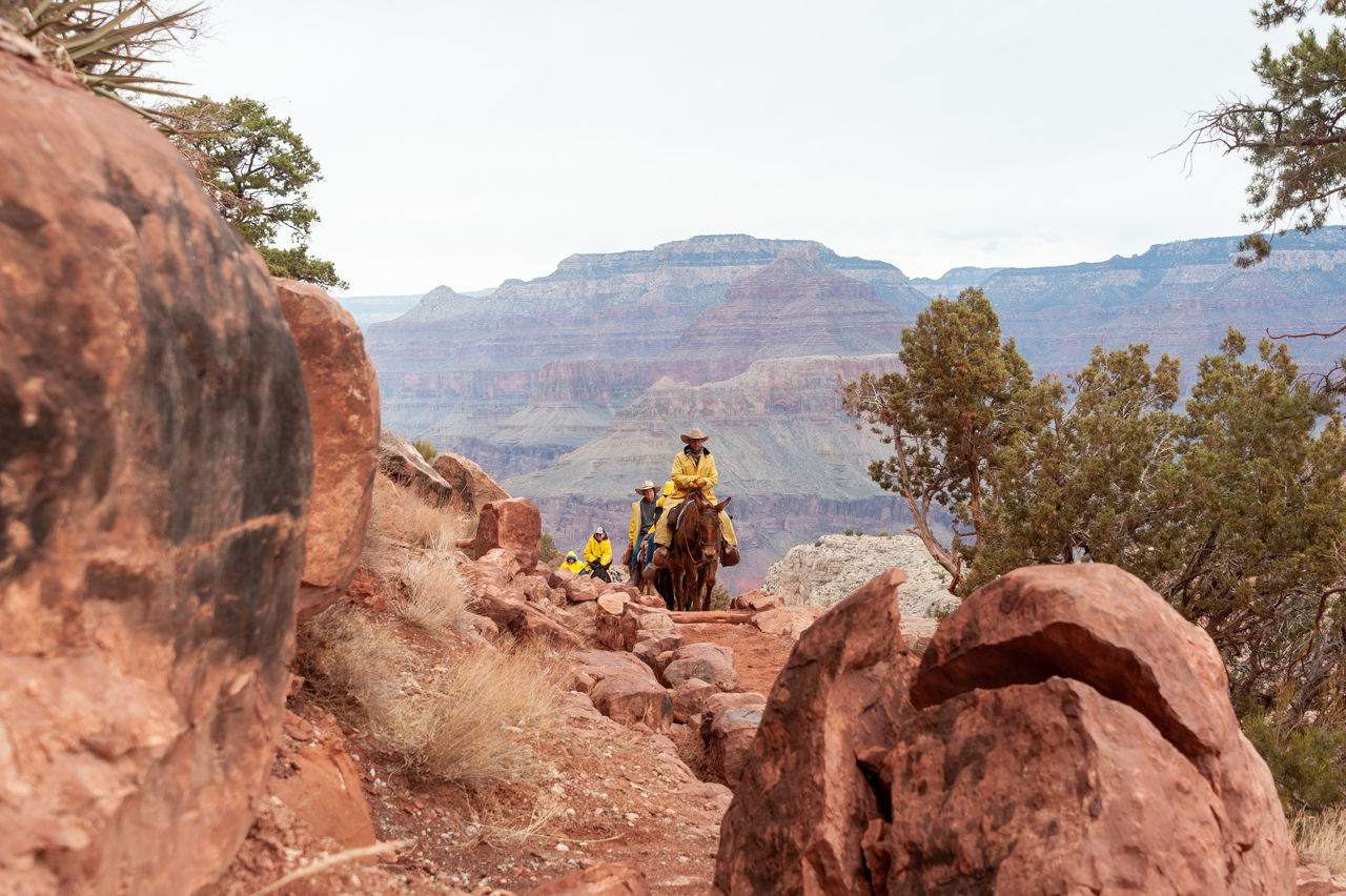 2020 02 Grand Canyon-018