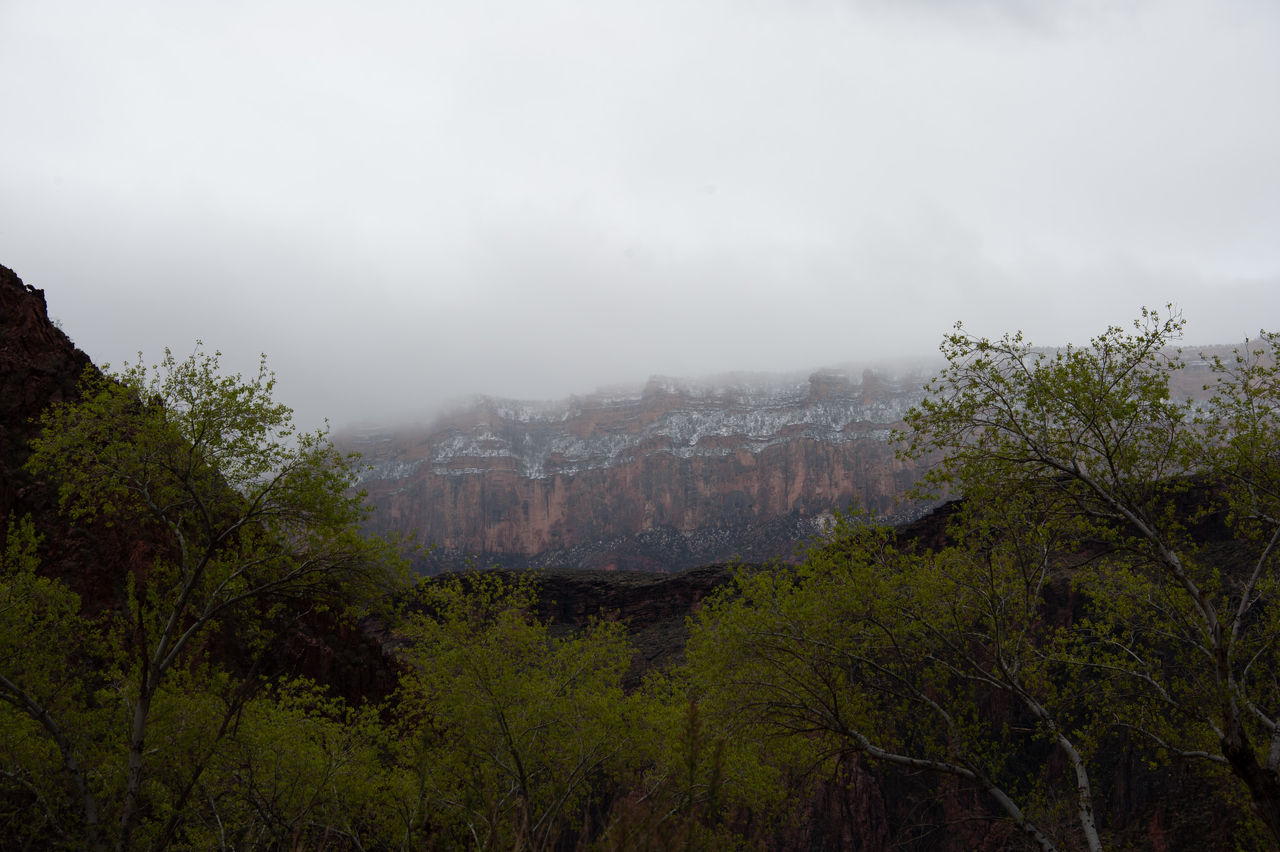 2020 02 Grand Canyon-035