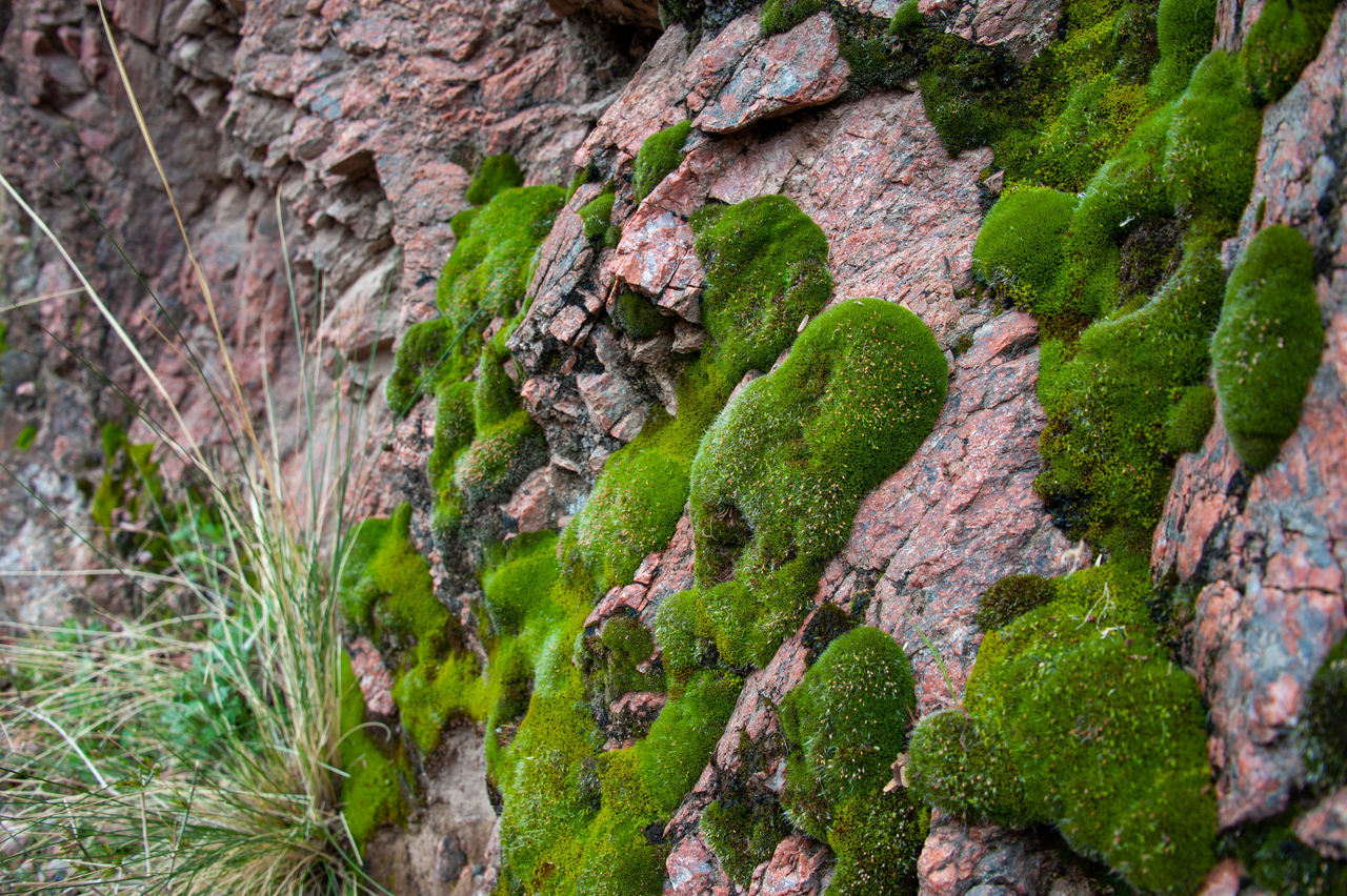 2020 02 Grand Canyon-042