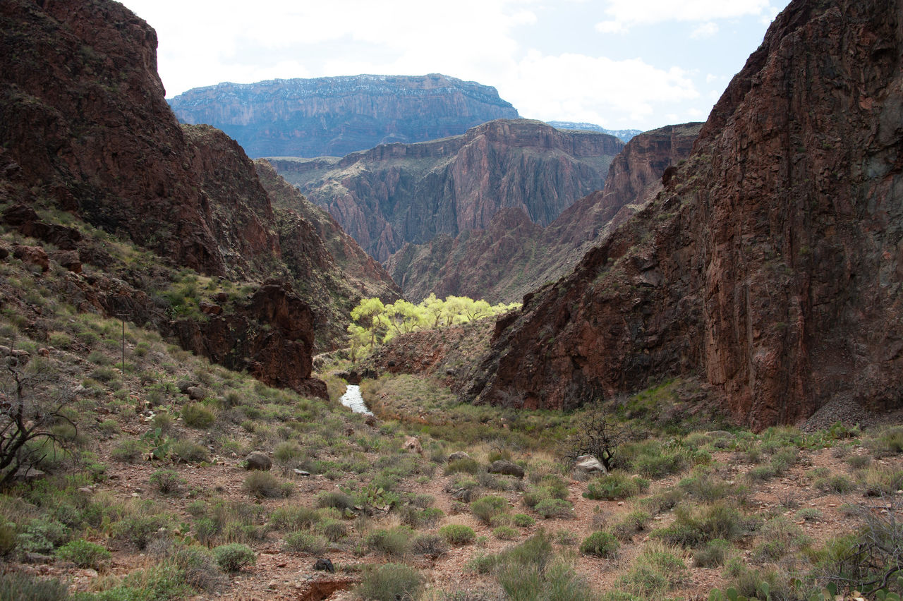2020 02 Grand Canyon-051