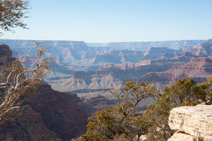 2020 02 Grand Canyon-009