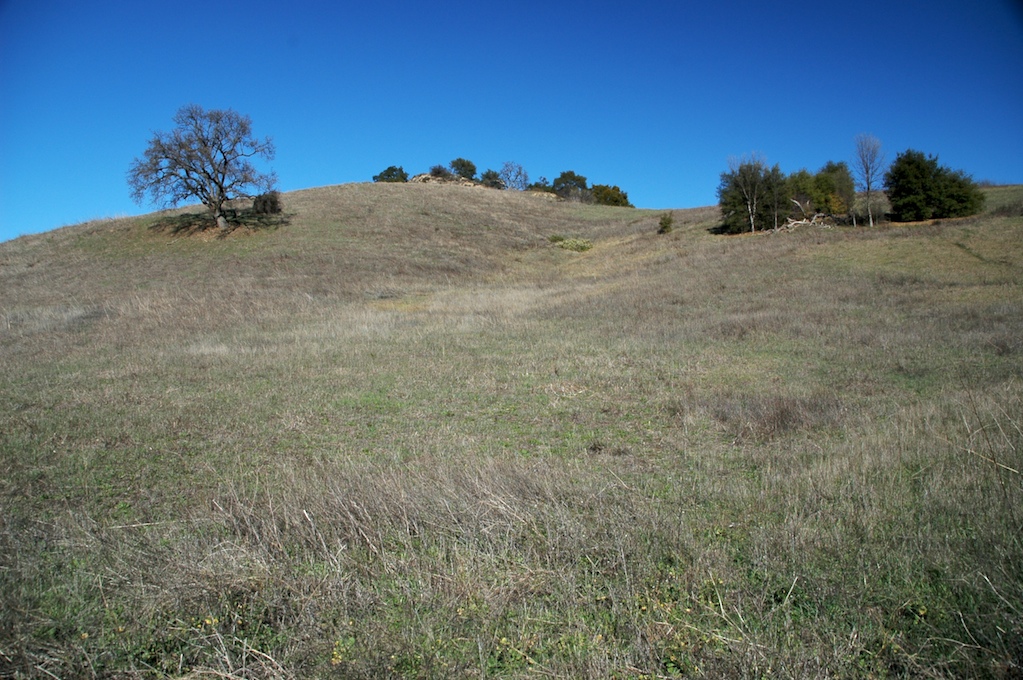 Malibu Creek Climbing-04