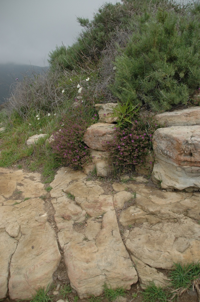 Nicholas Flat Hike-0