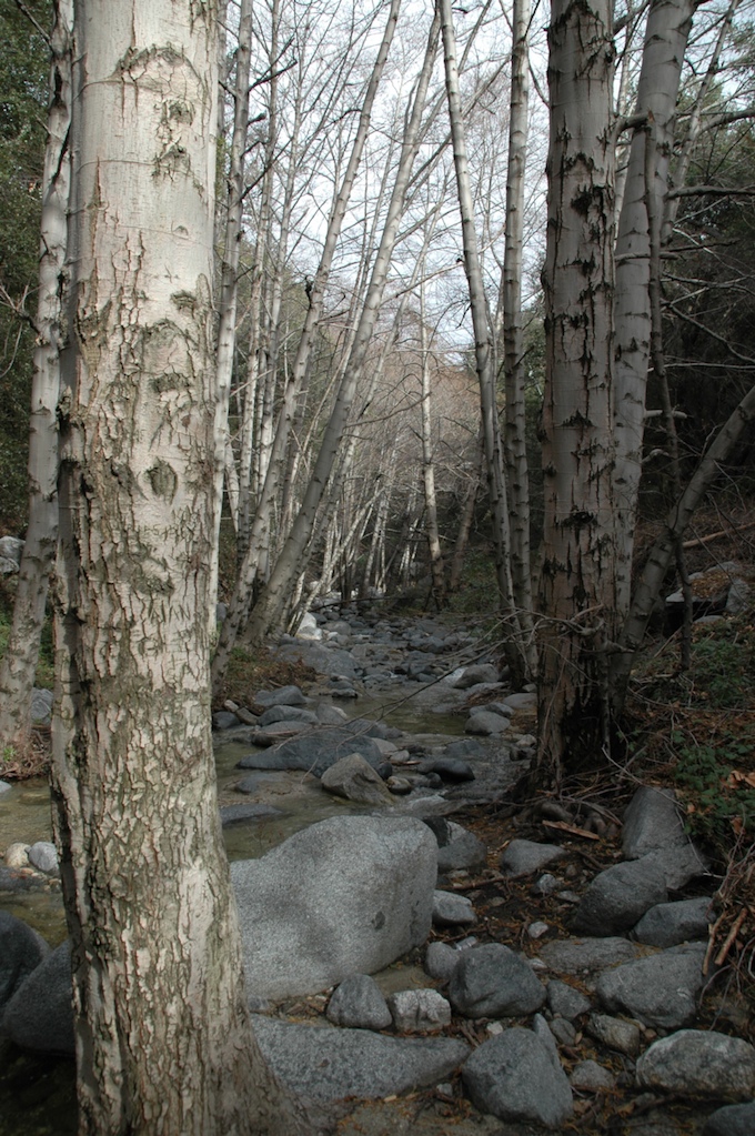Switzers Hike-3